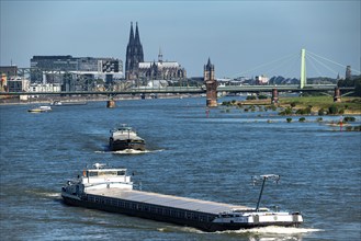 Crane houses, at the customs harbour, Cologne-South, residential and office high-rise buildings,