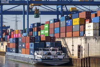 Container cargo ship in the harbour basin of the Logport, gantry cranes in the Container Handling