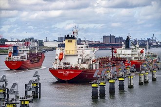 Tankers, in the petroleum harbour, seaport of Rotterdam, Maasvlakte, Rotterdam Netherlands