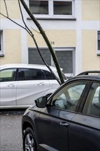 North Rhine-Westphalia, Germany, storm damage, a good 4 metre long branch was broken off by the