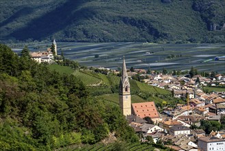 The village of Tramin on the wine route, in South Tyrol, wine-growing region of Gewürztraminer,