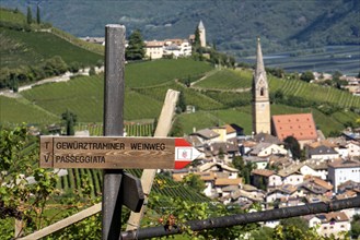 Hiking trail Signpost to the Gewürztraminer Wine Trail, circular tour in the vineyards above the