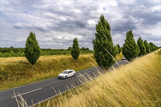 Dorstfelder Allee in Dortmund, completely new road built in 2013, former farmland, in the Dorstfeld