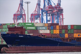 Port of Hamburg, HHLA Container Terminal Burchardkai, Athabaskakai, on the Elbe, container feeder