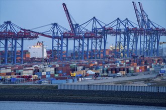 Container terminal Tollerort, container ships are loaded and unloaded, one of 4 container terminals