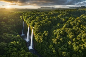 Aerial view of verdant green rainforest with waterfall and beautyful sunrise at the horizon, AI