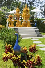 Small Buddhist temple, decorated, golden, gilded, religion, faith, world religion, Buddhism, Asian,