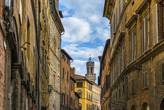 Old town, centre, historical, travel, tourism, Siena, Tuscany, Italy, Europe