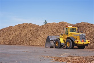 Piles of Wood chips for drying before transport by a front loader