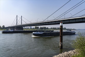 The Theodor-Heuss-Bridge, Rhine crossing, cable-stayed bridge, first road bridge of the so-called