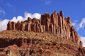 Capitol Reef NP, Utah, USA, Capitol Reef NP, Utah, USA, North America