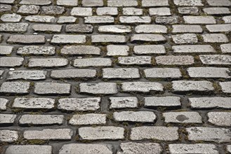 Europe, Germany, Hanseatic City of Hamburg, Elbe, Historic road paving, Granite stones, Road paving