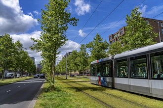 Urban greening, inner-city street Laan op Zuid, in Rotterdam's Feijenoord district, 4 lanes, 2 tram