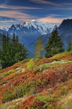 Mont Blanc in the first morning light, Haute-Savoie, France, Europe