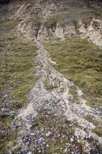 Crumbling soft rock cliff showing mass movement at Dunwich, Suffolk, England, United Kingdom,