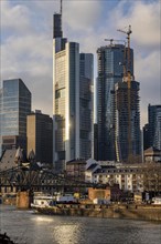 Skyline of the city centre of Frankfurt am Main, river Main, Eiserner Steg bridge, freighter, dusk,