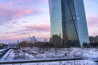 The skyline of Frankfurt am Main, skyscrapers of the banking district, building of the European