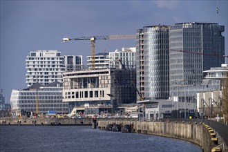 Hafencity Hamburg, new district on the Elbe, on the site of the former free harbour, residential