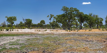 Dried out riverbed and landscape, drought, heat, dryness, climate change, global warming, panorama,