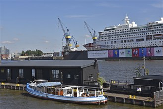 Europe, Germany, Hanseatic City of Hamburg, harbour, Elbe, view to floating dock 11, passenger ship