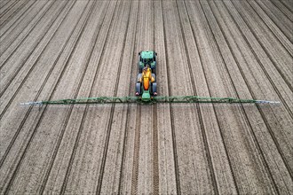 Farmer working a field, crop protection agent being sprayed, field with young sugar beet plants,