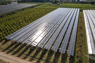 Agri-photovoltaic test plant, an apple orchard with two different systems of PV modules was roofed