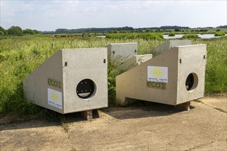 Precast concrete drainage headwall product, Boyton marshes RSPB wetland, Boyton, Suffolk, England,