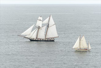 Large old traditional sailing boat in a bay on the Atlantic. Camaret sur mer, Crozon, Finistere,