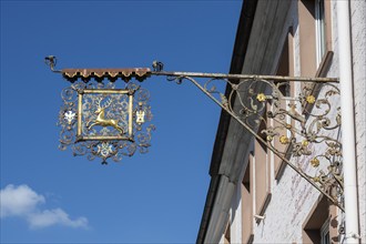 Nose sign, inn sign, blacksmith's art on a house wall with a golden stag, Hüfingen, Black Forest