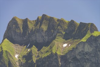 Schneck, 2268m Hochvogelgruppe and Rosszahngruppe, Allgäu Alps, Allgäu, Bavaria, Germany, Europe