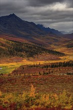 Autumn coloured tundra, mountains, clouds, Tombstone Territorial Park, Dempster Highway, Yukon,