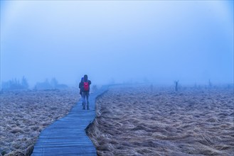 The High Fens nature park Park, in the German-Belgian border region near Eupen, winter, fog, wooden