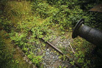 Symbolic photo on the subject of railway traffic standstill. An old track is overgrown with weeds.