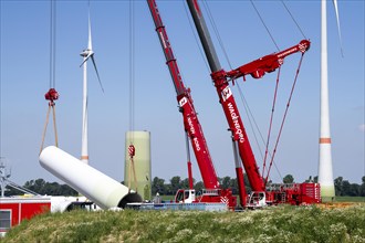 Repowering of a wind farm near Issum, here the dismantling of the tower, 9 older wind turbines from