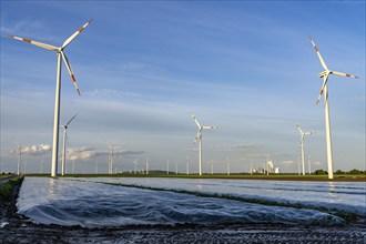 Neurath lignite-fired power station, RWE Power AG, wind farm partly owned by RWE, Grevenbroich,