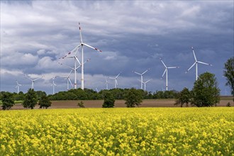 Wind farm east of Geilenkirchen, dark storm clouds, strong wind, rape field, North