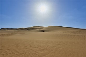 Sunny desert landscape with sand dunes under a clear blue sky, Matruh, Great Sand Sea, Libyan