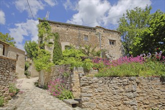 Stone wall and houses with idyll and red valerian flowers, mountain village, Simiane-la-Rotonde,