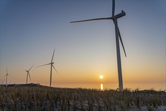 ENECO wind farm on the dike around the harbour Maasvlakte 2, 22 wind turbines with a capacity of