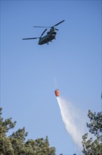 Forest fire in the German-Dutch border region near Niederkrüchten-Elmpt, in a nature reserve, use