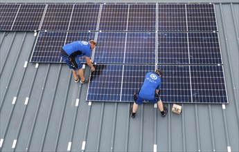 Installation of solar modules on the roof of a barn on a farm, over 240 photovoltaic modules are