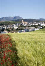 Alhama de Granada, Spain in Andalucian farming landscape of fields and rolling hills