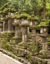 Kasuga-taisha shrine, Nara, Japan, Asia