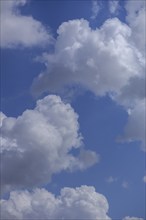 HaufeNorth Rhine-Westphalia clouds, (Cumulus), Bavaria, Germany, Europe