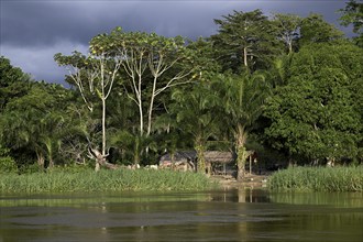 Hut on the Sangha River, Dzanga-Sangha Complex of Protected Areas (DSPAC), Sangha-Mbaéré