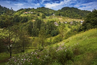 Mühlenweg, Ottenhöfen, Ortenau, Black Forest, Baden-Württemberg, Germany, Europe