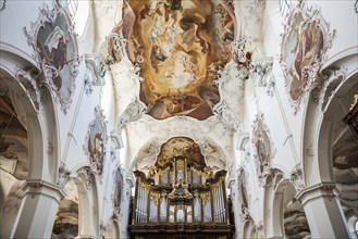 Baroque church, vaulted ceiling and organ, Fridolinsmünster, Church of St Fridolin, Bad Säckingen,