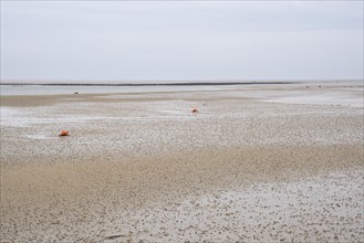 Wadden Sea at low tide with numerous piles of lugworms, two buoys, Utersum, Föhr, North Sea island,