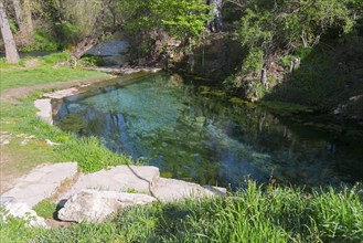 Idyllische Frühlingslandschaft mit einer klaren Quelle, grüner Vegetation und sonnendurchfluteten