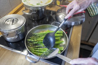 Preparation of green asparagus (Asparagus officinalis) in the pan, Bavaria, Germany, Europe